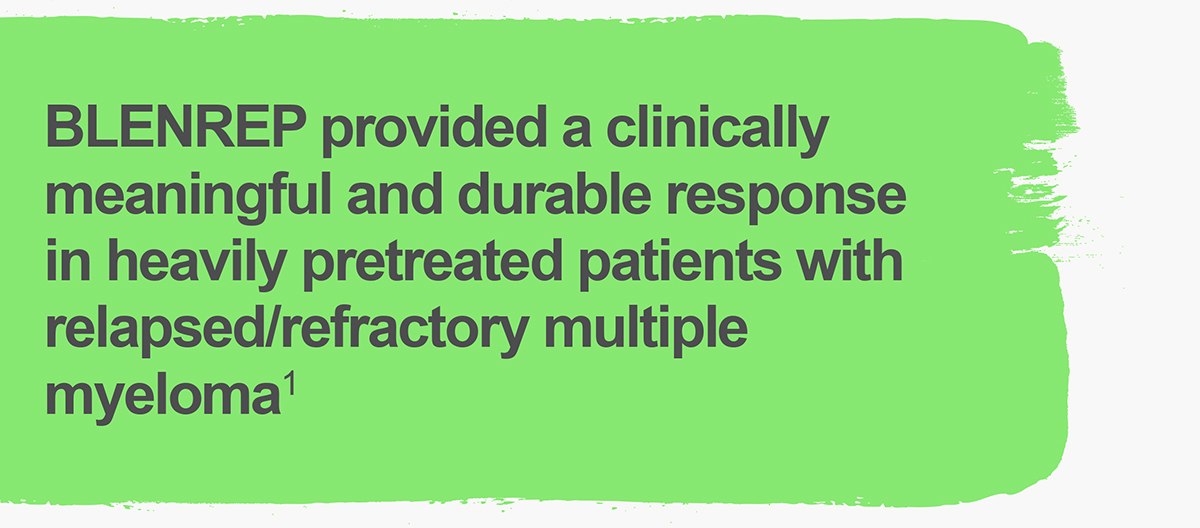 BLENREP provided a clinically meaningful and durable response in heavily pretreated patients with relapsed/refractory multiple myeloma