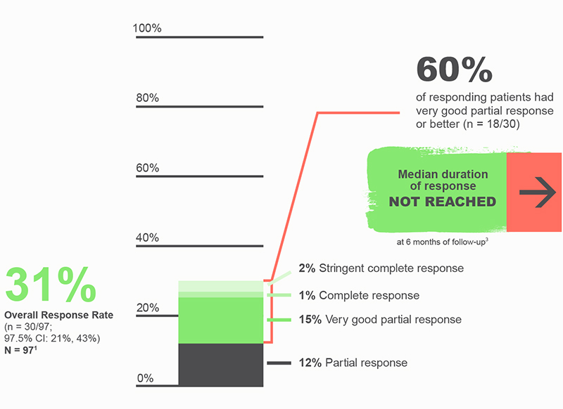 Nearly one-third of patients responded to BLENREP.