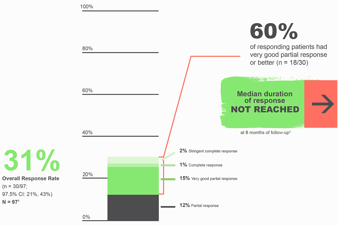 Nearly one-third of patients responded to BLENREP.