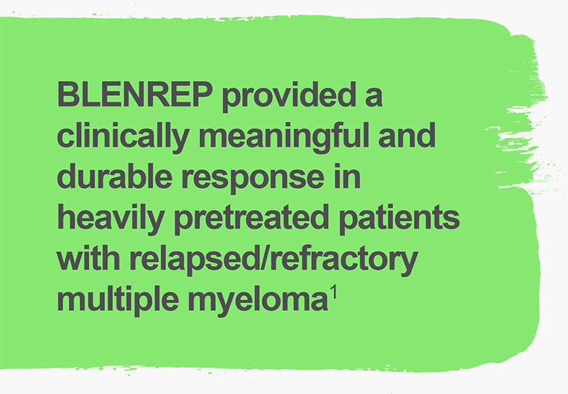 BLENREP provided a clinically meaningful and durable response in heavily pretreated patients with relapsed/refractory multiple myeloma